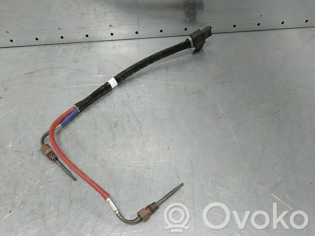 Renault Arkana Sensor 