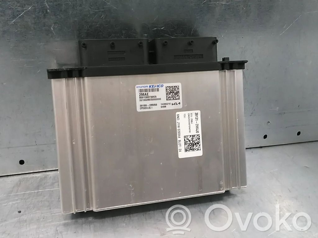 KIA Sportage Unitate/modul de control motor