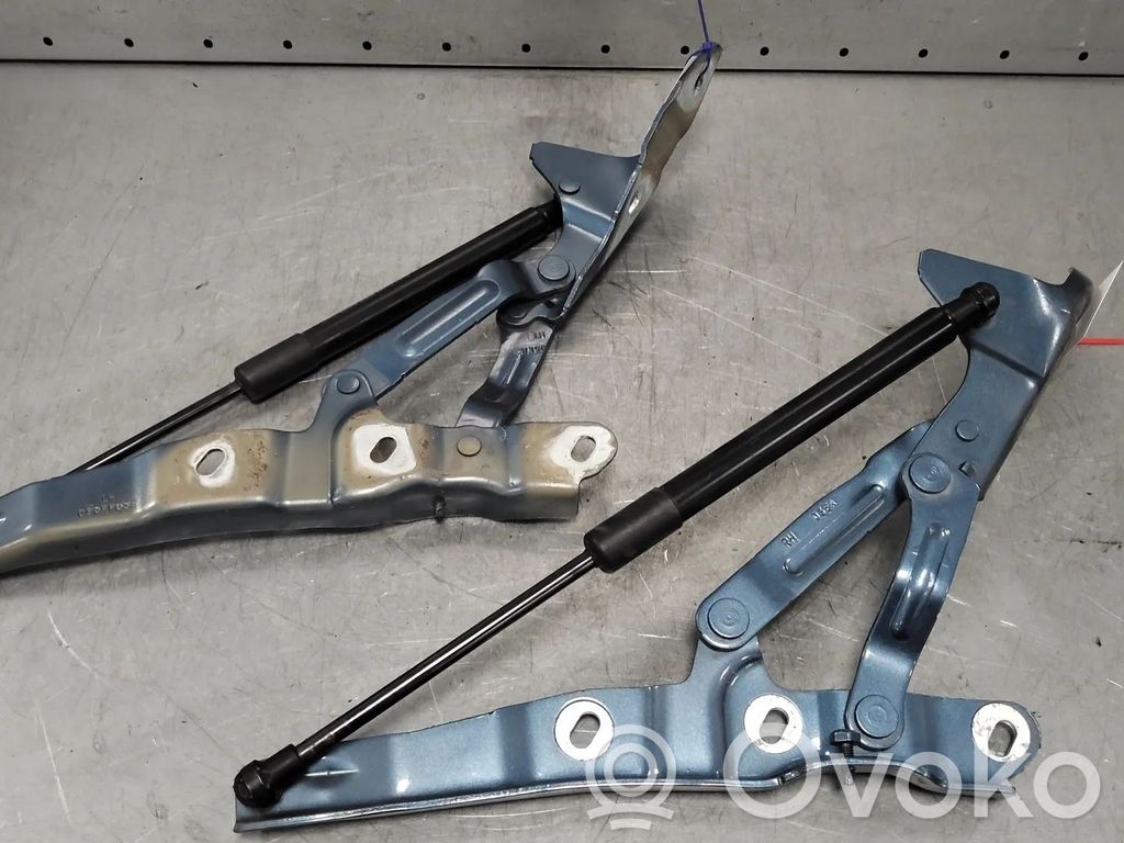 Opel Cascada Tailgate/trunk/boot hinge 