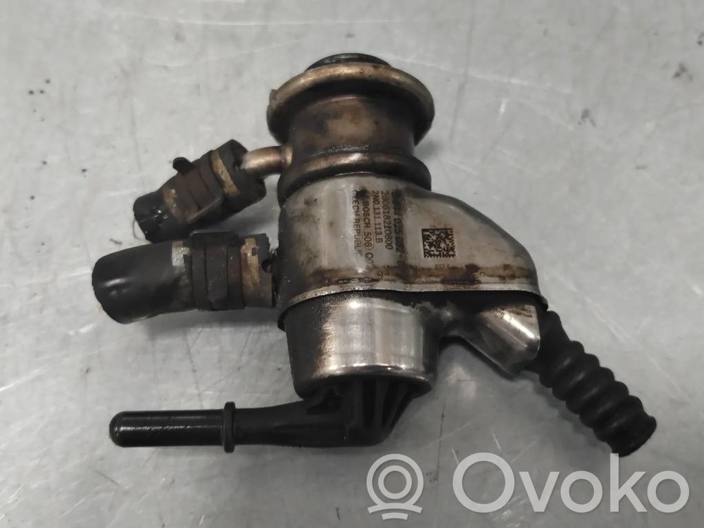 Inyector de AdBlue   2N0131113B,0444025079,0444025166,2N0131113C,2N0131113H,DAUB