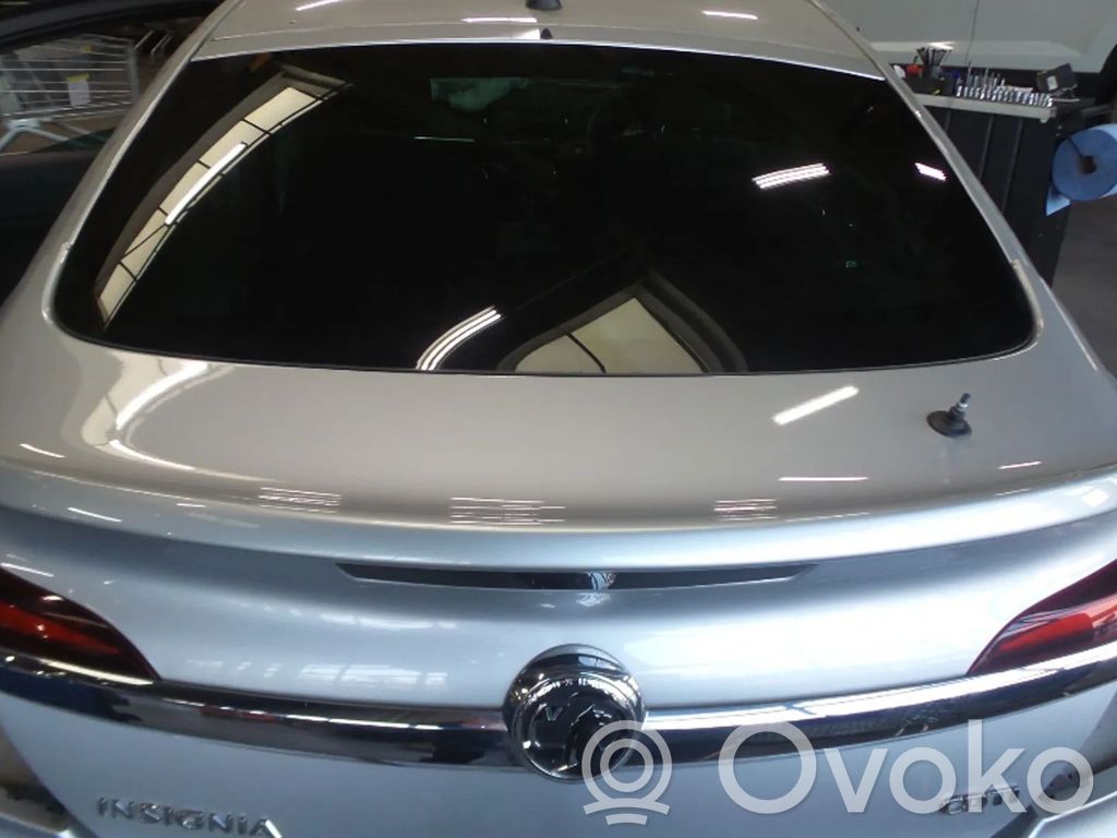 Opel Insignia A Puerta del maletero/compartimento de carga 
