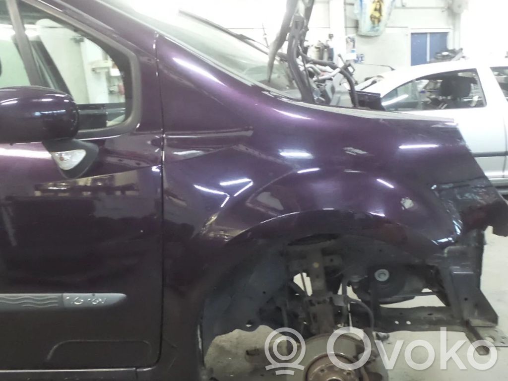 Renault Modus Sparnas 