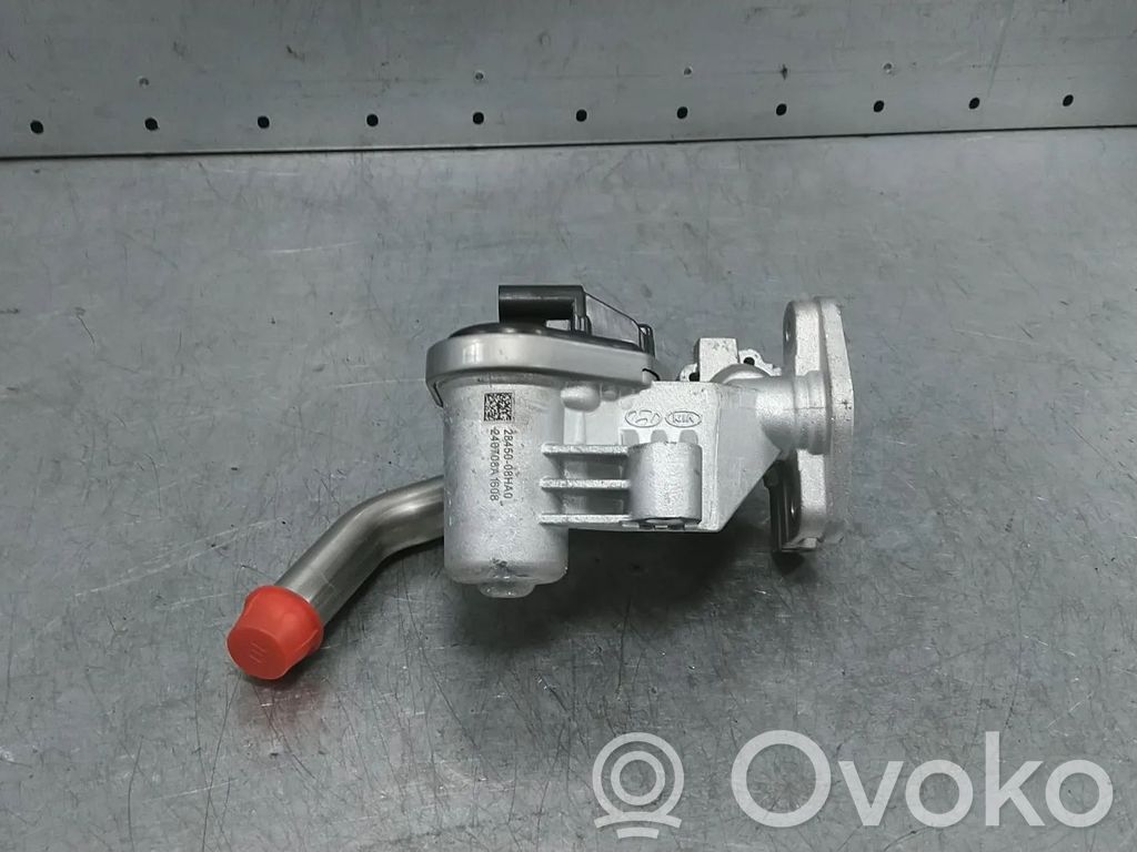 KIA Niro Válvula EGR 