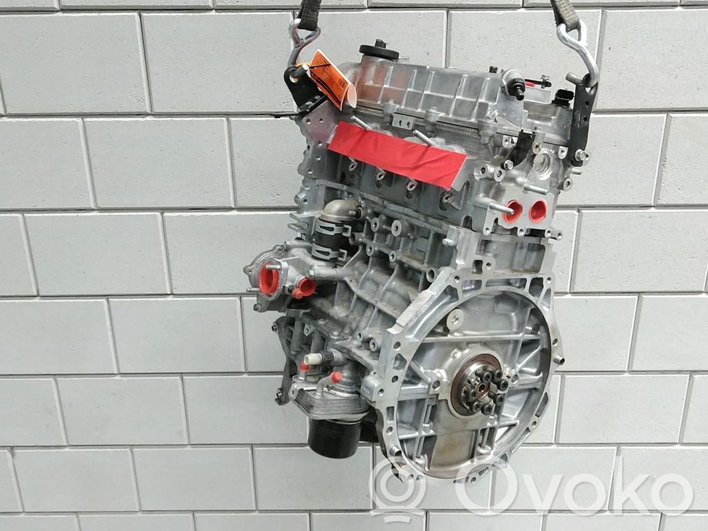 KIA Niro Variklis 