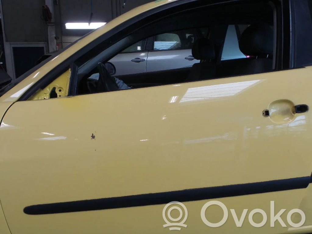 Seat Ibiza III (6L) Drzwi 