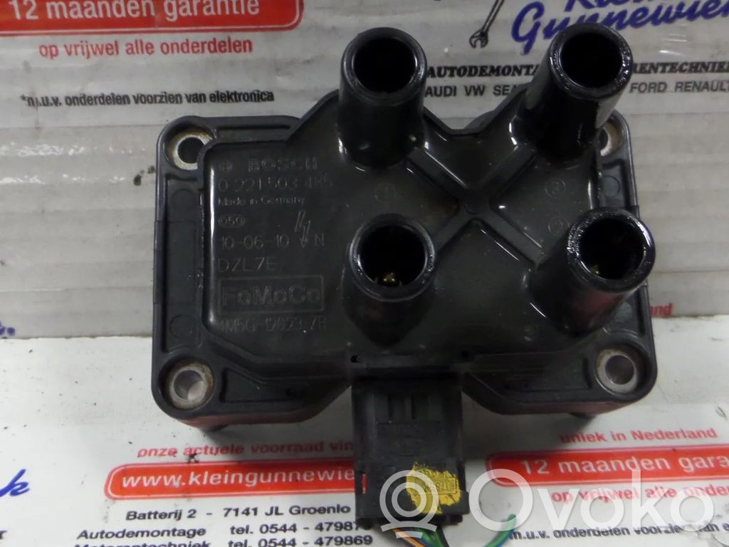 Ford Fusion Aukštos įtampos ritė "babyna" 