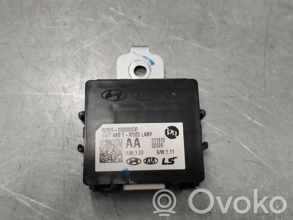 KIA EV6 Other control units/modules 