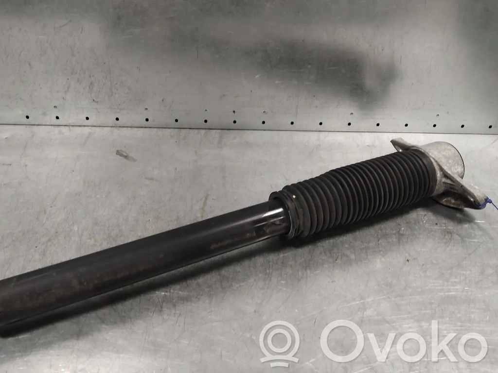 Stoßdämpfer hinten   55307CV200,EM17