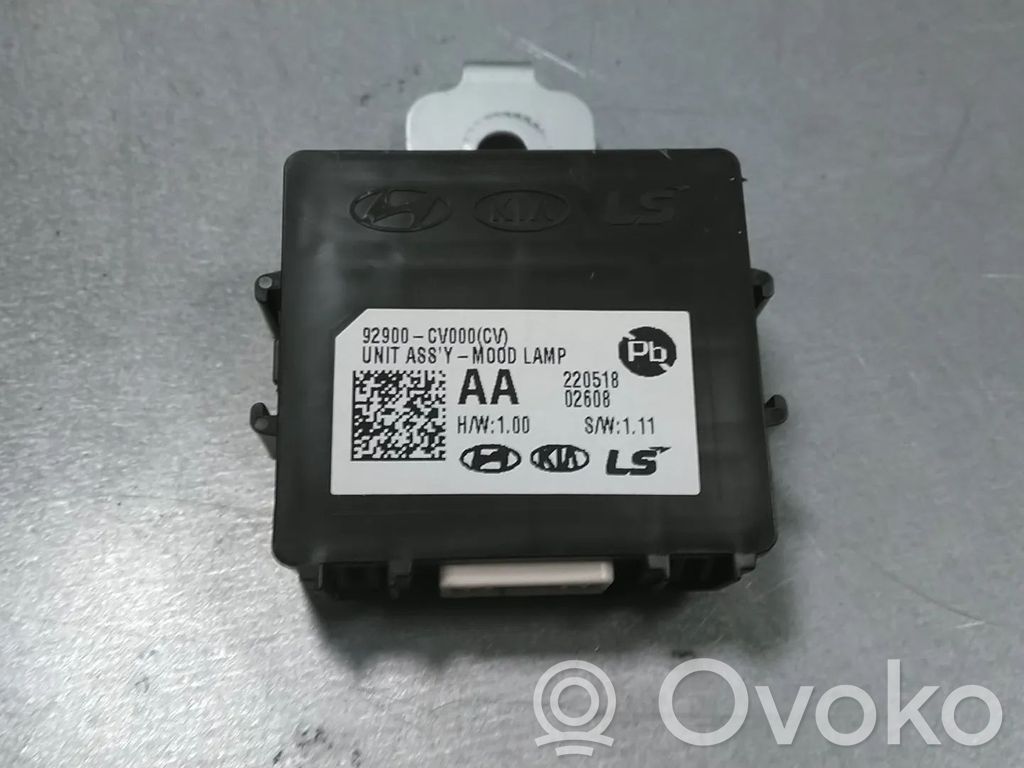 KIA EV6 Other control units/modules 