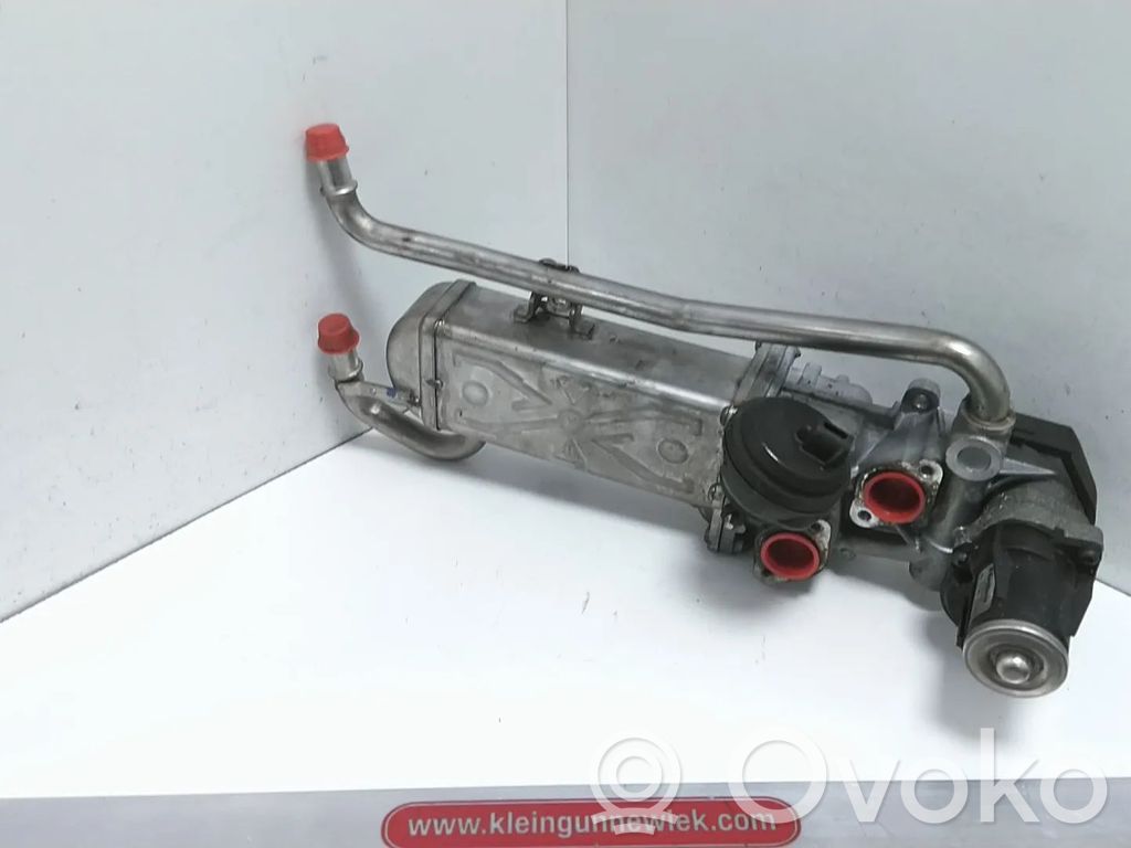 Volkswagen Polo V 6R Válvula EGR 