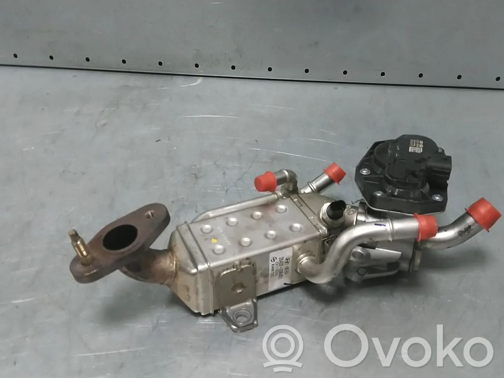 KIA Sportage Valvola di raffreddamento EGR 