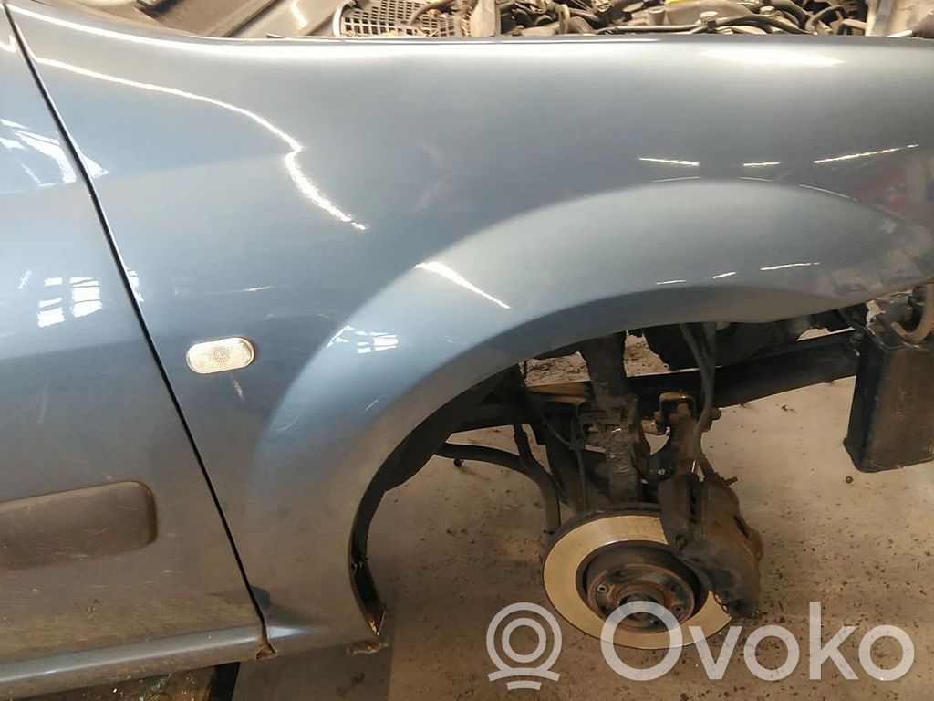 Guardabarro   6001549973