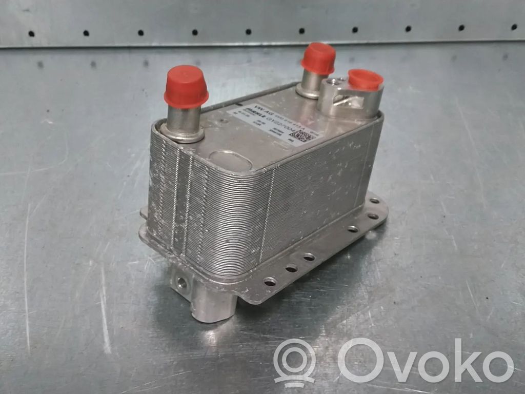 Audi e-tron Radiator ulei motor 
