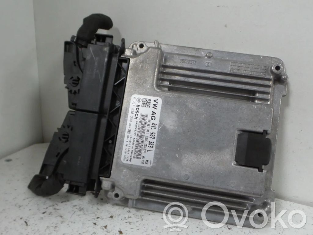 Engine control unit/module   04L907309L,0281030258,04L906026T,DEU,DEUA,DEUADEU
