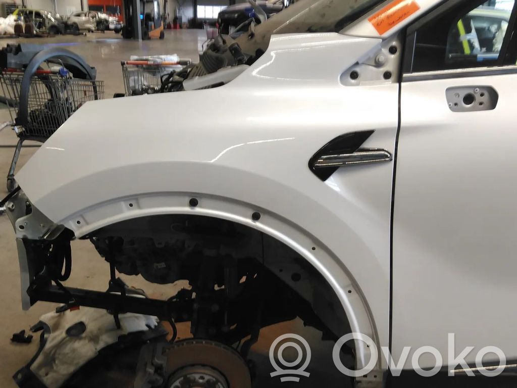 Renault Captur II Guardabarro 