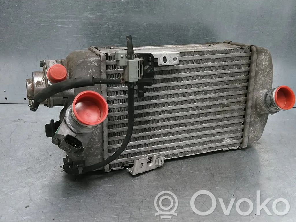 KIA Optima Intercooler radiator 