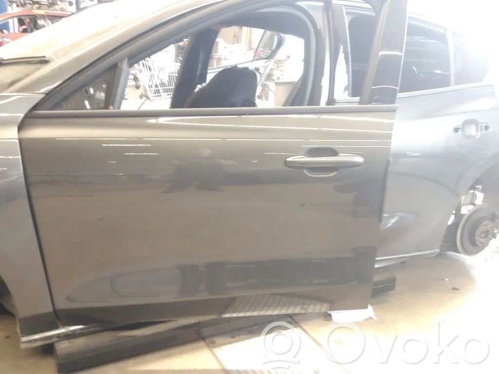 Ford Focus Front door 