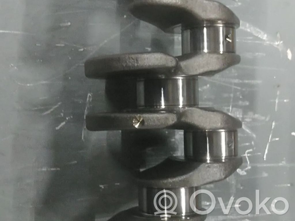 Skoda Octavia Mk3 (5E) Crankshaft 