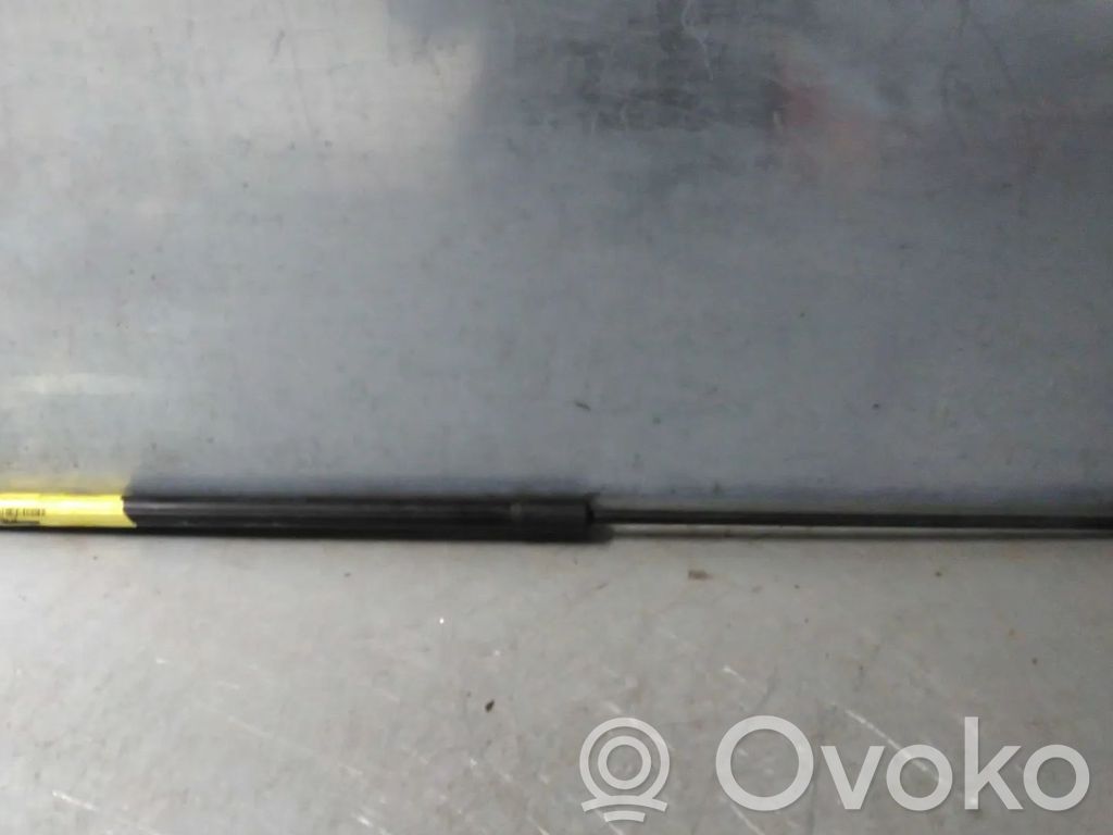 Volkswagen PASSAT B6 Ammortizzatore portellone anteriore/cofano 