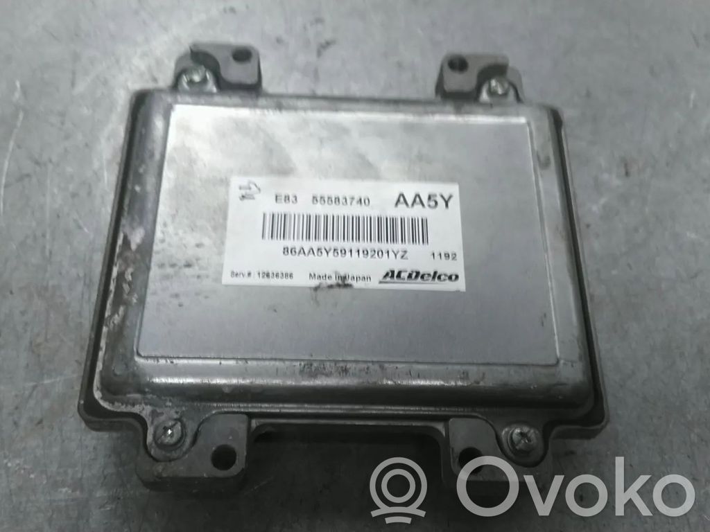 Engine control unit/module   12636386,1232380,1247061,1247248,12621466,12638732,12638807,12639891,12642927,12643754,12654172,12679199,55577841,55580499,A12XER