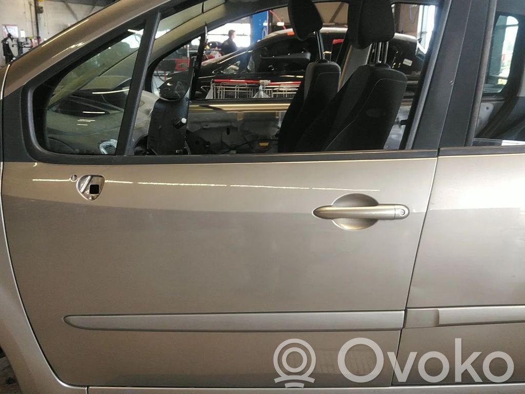 Renault Modus Durvis 
