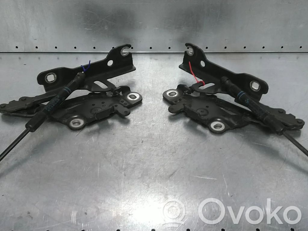 BMW 3 F30 F35 F31 Balamale capotă 