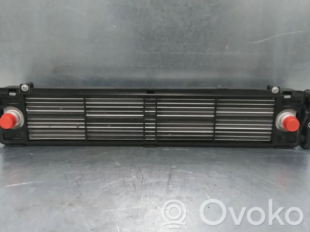BMW XM Dzesēšanas šķidruma radiators 