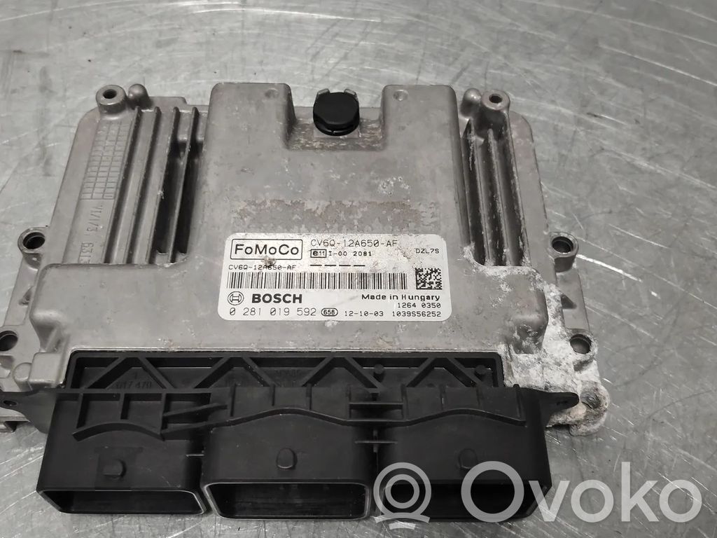 Ford Focus Engine control unit/module 