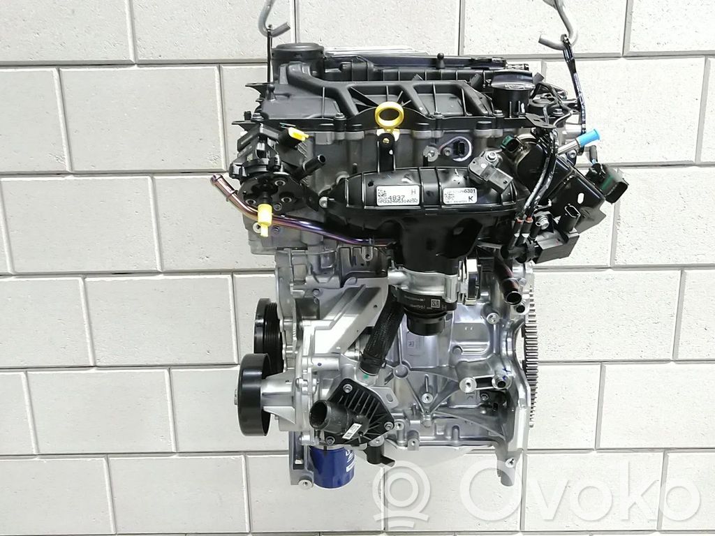 Engine   25204774,000257519,1684189780,25203657,25204253,55512158,F12SHL,F12SHR,F12SHT,LIH