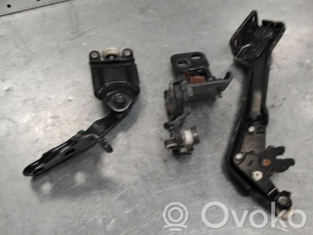 Ford Transit Custom Rear door hinge set 