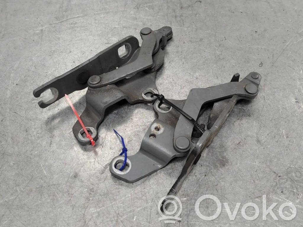 BMW 1 E81 E87 Vyris (-iai) variklio dangčio 