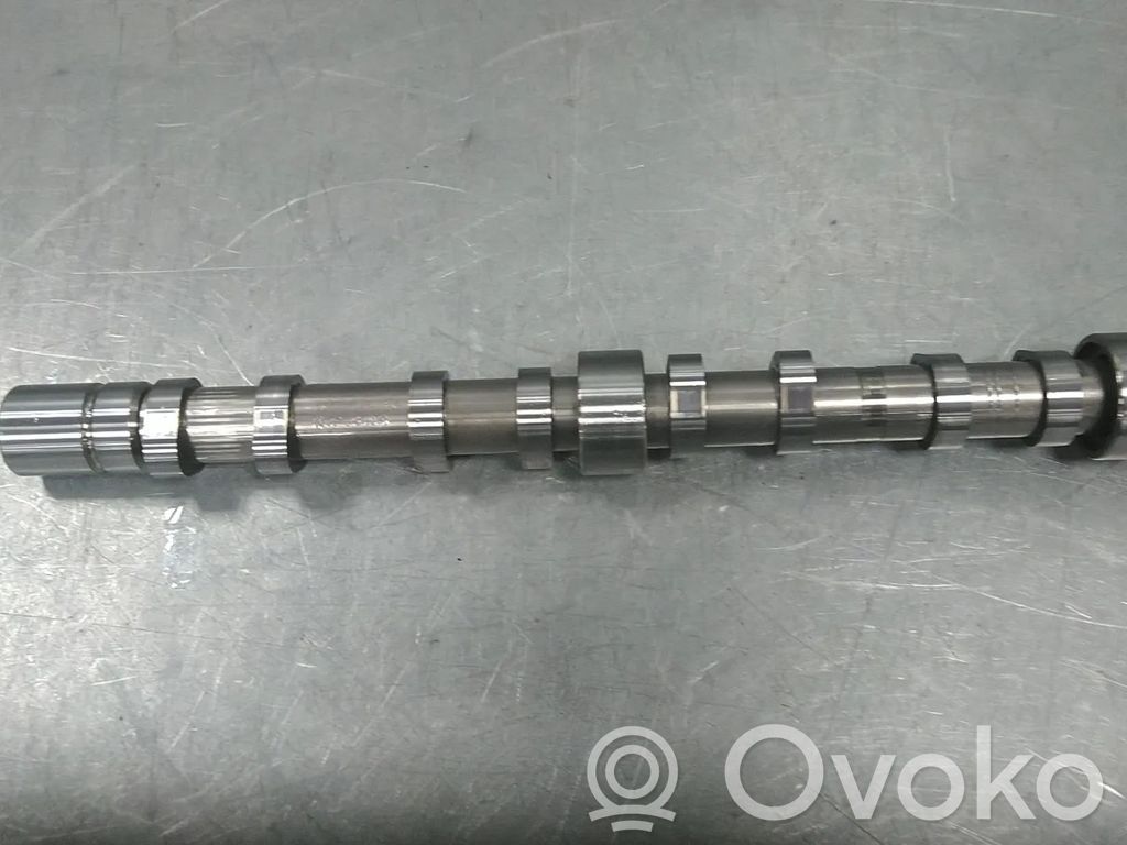 Volkswagen Tiguan Albero a camme 