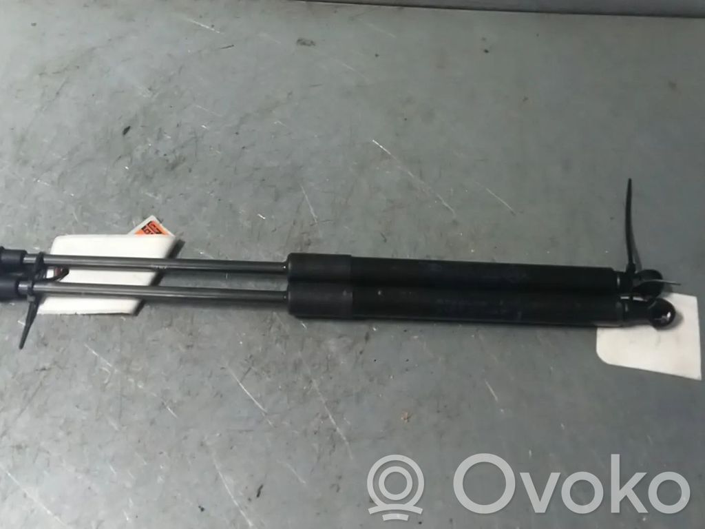 Renault Twingo II Ammortizzatore portellone posteriore/bagagliaio