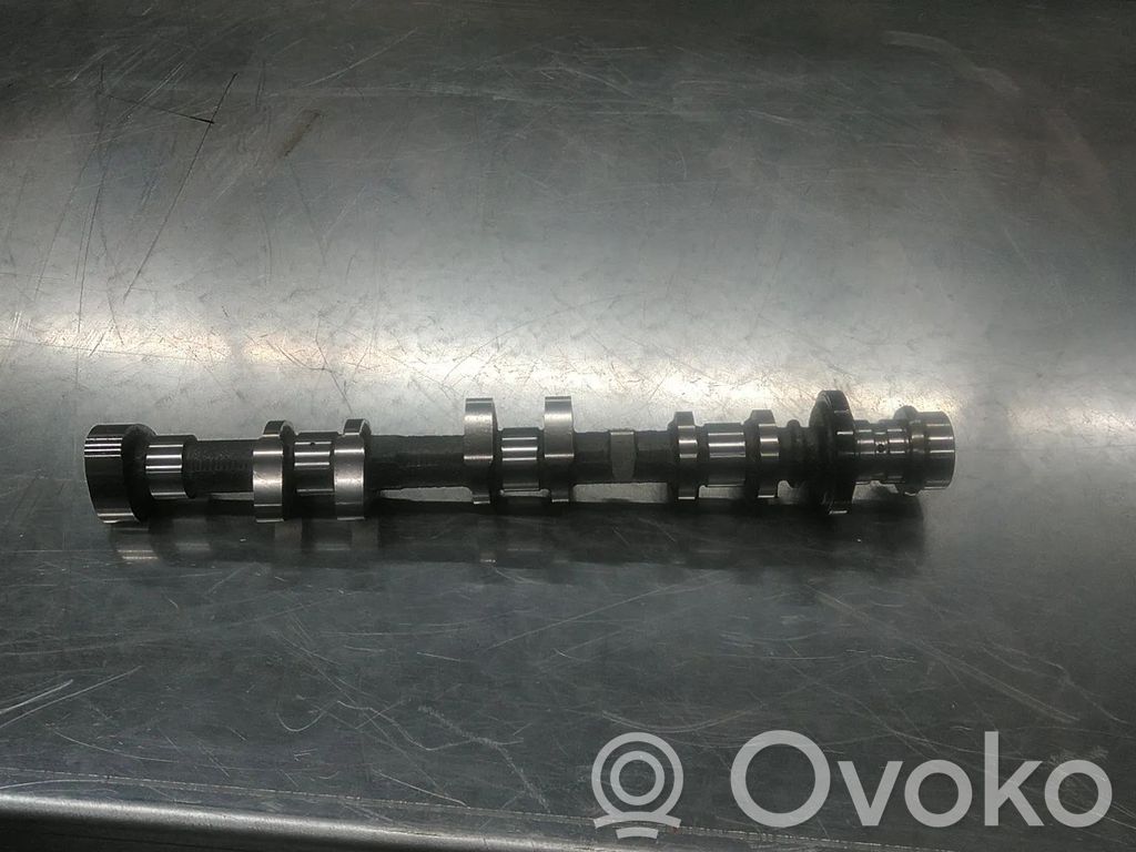Árbol de levas   1784210,23120,B3GA,C448,CAM1052,CM052396,CM5G6A267AA,M1CA,M1CB,M1DA,M1DC,M1DD,M1DH,M1JA,M1JC,M1JE,M1JH,M1JJ,M1JL,M1JM,M1JU,M2DA,M2DB,M2DC,M2GA,M2GB,Q0JA,Q0JB,Q0JC,Q0JD,SFCA,SFCB,SFCC,SFCD,SFDA,SFDB,SFJA,SFJB,SFJC,SFJD,SFJE,SFJF,SFJH,SFJJ,SFJK,SFJL,SFJN,SFJP,WG2202935,YYJB,YYJC,YYJD,YYJE