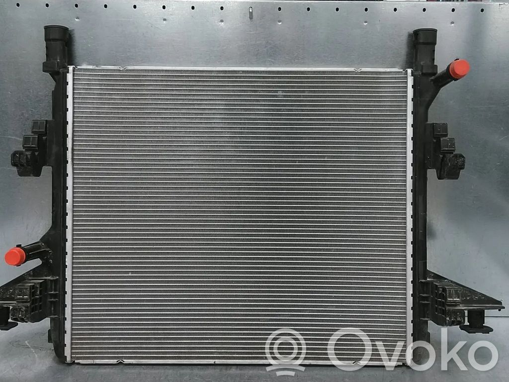 Cupra Born Radiator lichid răcire 