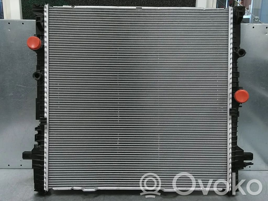 BMW X5 G05 Radiatore di raffreddamento 