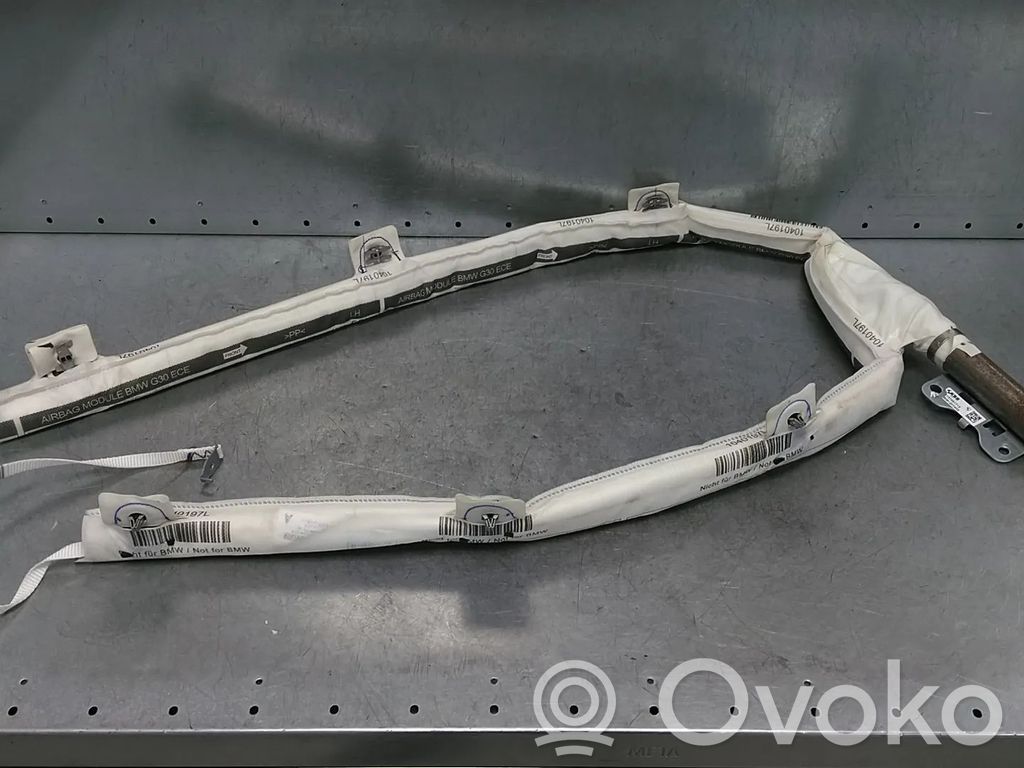 BMW 5 G30 G31 G38 Airbag cortină 
