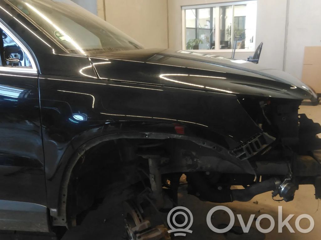 Volkswagen Tiguan Aripă 