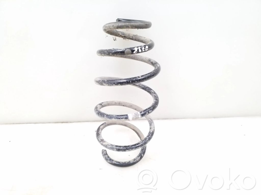 Front coil spring