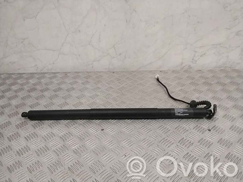 Tailgate strut   106566400A
