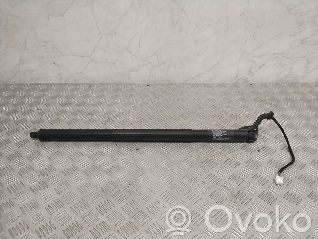 Tailgate strut   106566400A