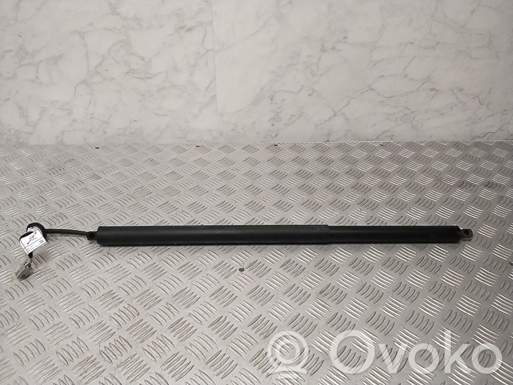 Ford Mach-E I Tailgate strut 