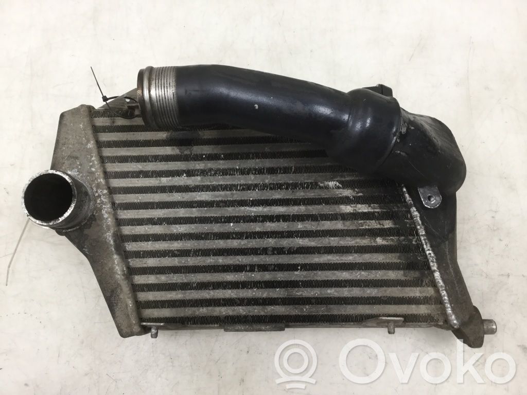 Audi A8 S8 D3 4E Interkūlerio radiatorius 