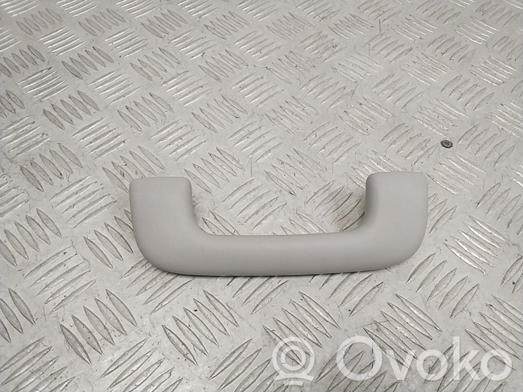Hyundai Ioniq Asidero interior delantero 