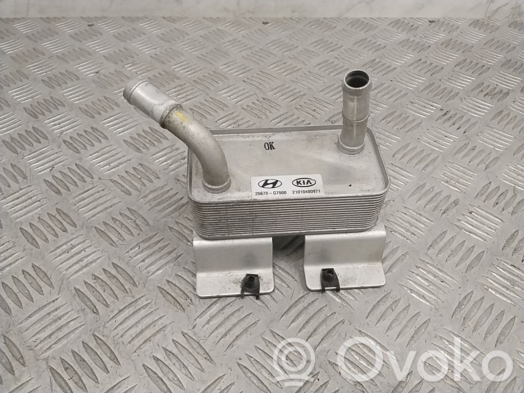 Hyundai Ioniq Optional radiator 