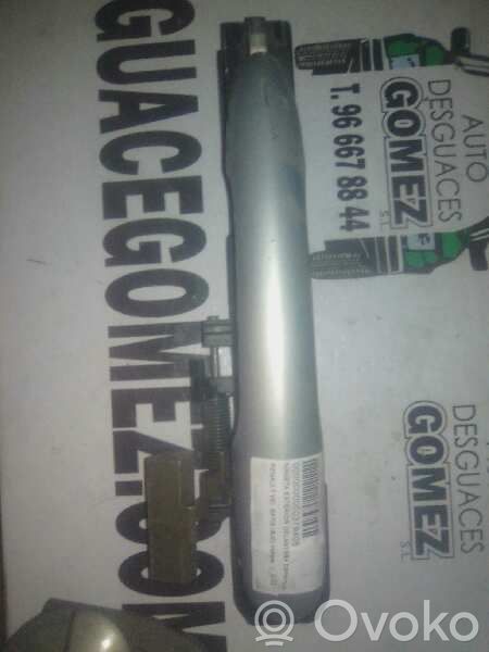 Manecilla externa puerta delantera