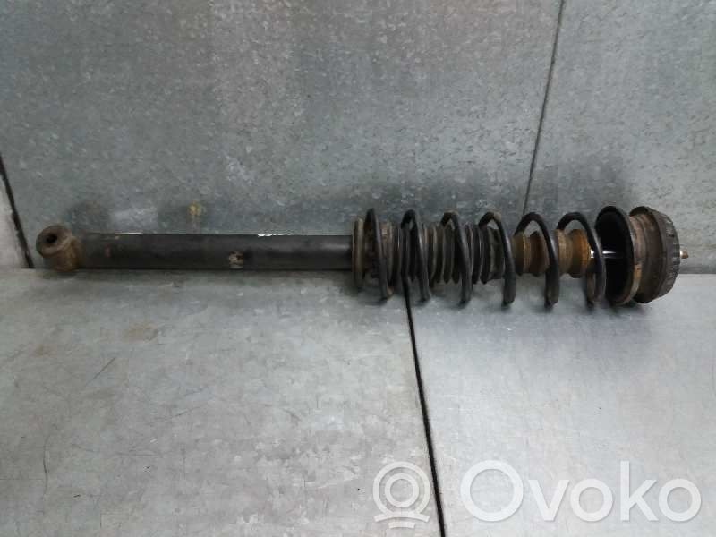 Stoßdämpfer hinten