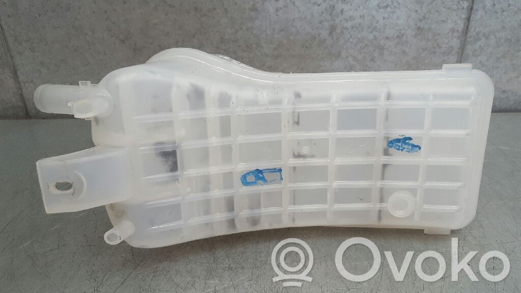Citroen Xsara Vas expansiune/rezervor lichid de răcire 