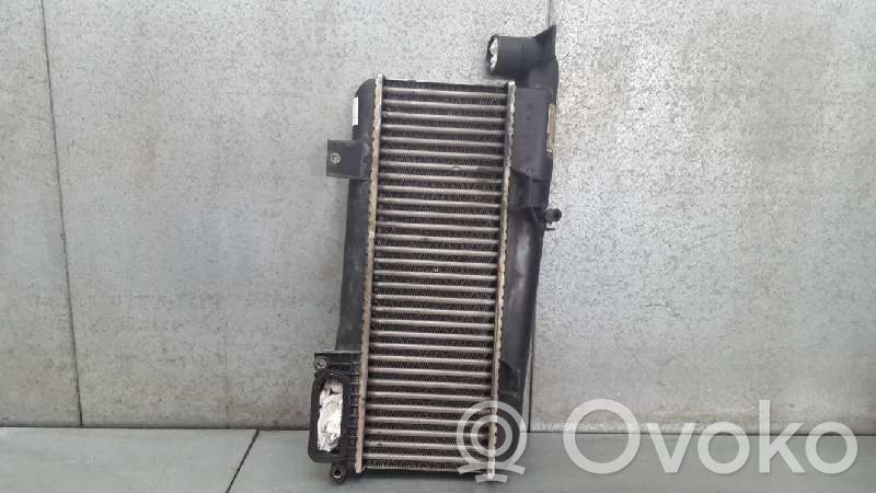 Radiador intercooler   9613541380