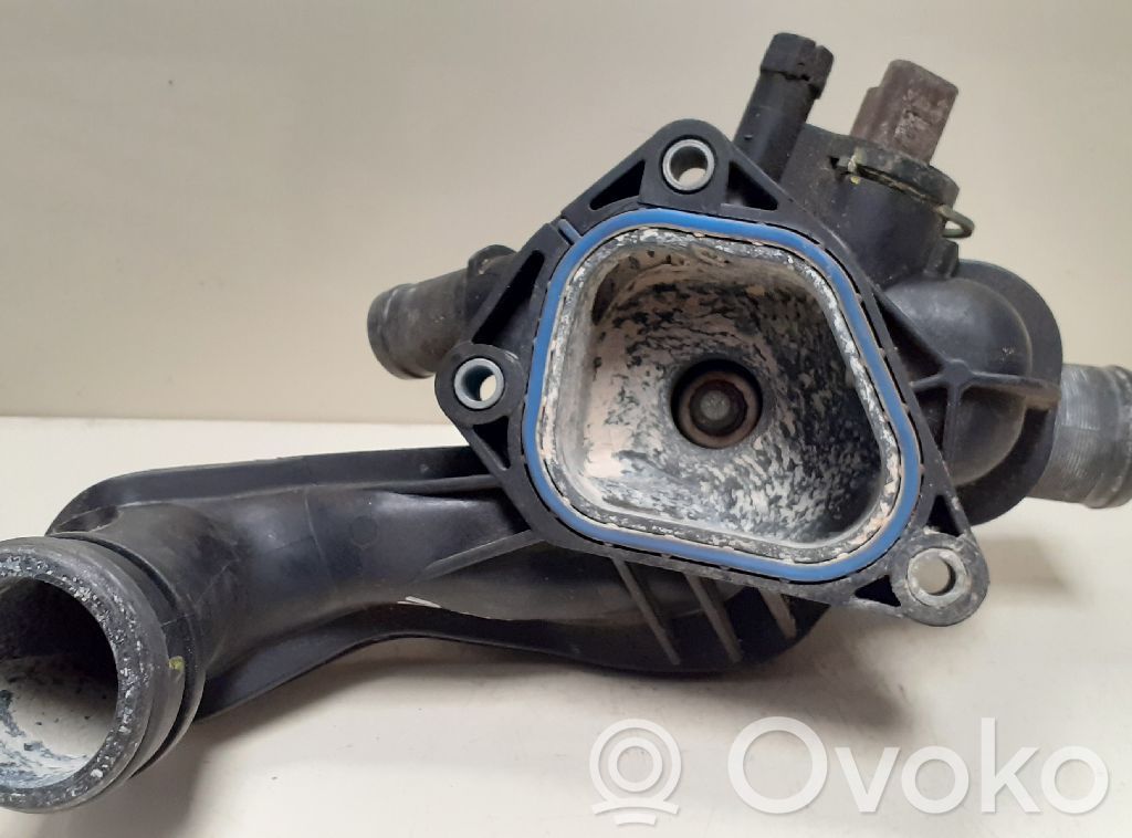 Termostat   V754184680